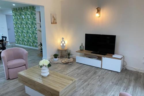 Televízia a/alebo spoločenská miestnosť v ubytovaní La parenthèse