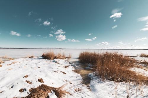 a snow covered field with grass and a body of water at Leśna 21 Dom Południe przy PUSZCZA BIAŁOWIESKA in Łuka