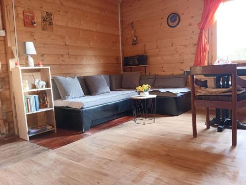 a living room with a couch and a table at Mountine cottage Hajdi in Andrijevica