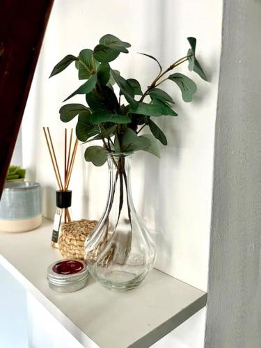 Photo de la galerie de l'établissement Le Romi - Capitole Hypercentre - Appart Cosy, à Toulouse