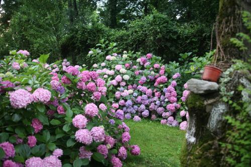 a garden with pink flowers and a stone wall at Beta Home Sapanca in Sapanca