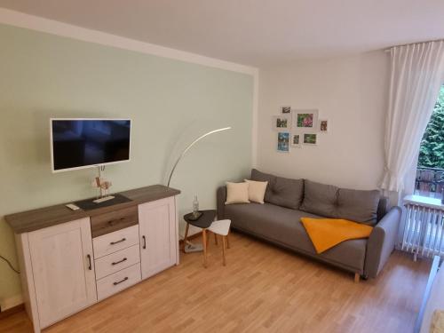 sala de estar con sofá y TV de pantalla plana en Auszeit Ferienwohnung, en Bad Bevensen