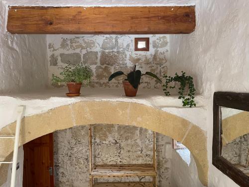a room with two potted plants on a shelf at Sansun Community House in Xewkija