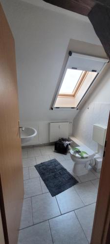 a bathroom with a toilet and a skylight at Zum Kranich in Luckau