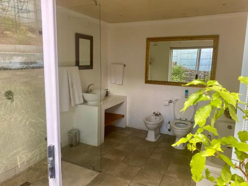 a bathroom with a toilet and a sink and a mirror at The View Swellendam B&B in Swellendam