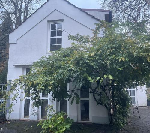 Una casa blanca con un árbol delante. en Oberneulander Gästehaus en Bremen