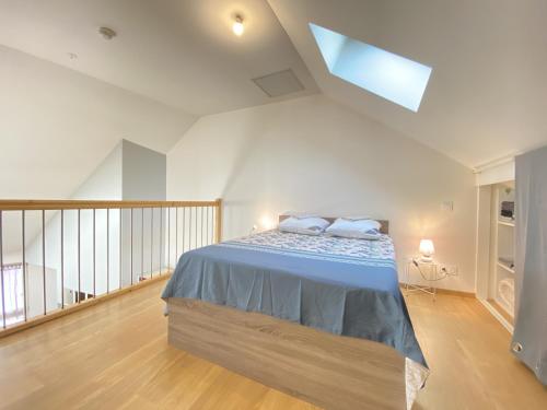 ロデーズにあるLe Duplex Ruthenois, Rodez centreのベッドルーム(ベッド1台、天窓付)