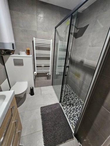 une salle de bain avec douche et toilettes dans l'établissement Studio avec terrasse et tonnelle, à Parempuyre