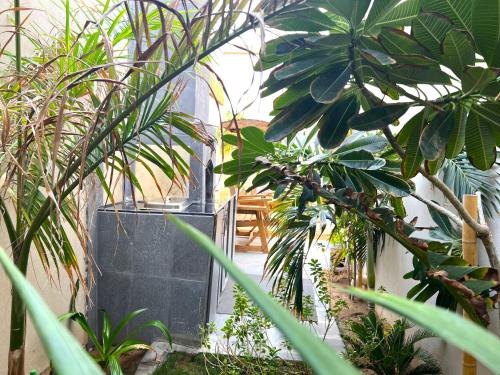 a courtyard with plants and a door in a building at Villa Bali Jeddah in Jeddah