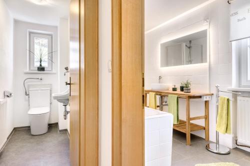 uma casa de banho com um WC e um lavatório em 2-Zimmer Ferienwohnung Rüti mit SW-Balkon em Brand