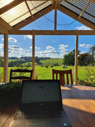 a laptop computer sitting on a wooden table with a view of a field at Jilly Park Farmstay Experience Discover Authentic Farm Life Complimentary Breakfast Included in Buln Buln