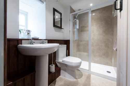 a bathroom with a toilet and a sink and a shower at Traditional stone cottage with sea views in Snowdonia National Park in Brynkir
