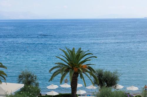 a palm tree in front of a large body of water at Elea Beach Hotel in Dassia