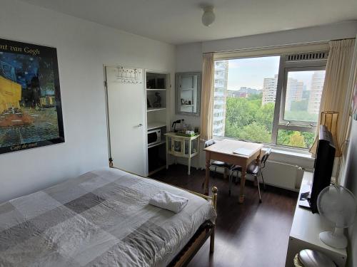 阿姆斯特丹的住宿－Sky Home Room 1，一间卧室配有一张床、一张书桌和一个窗户。