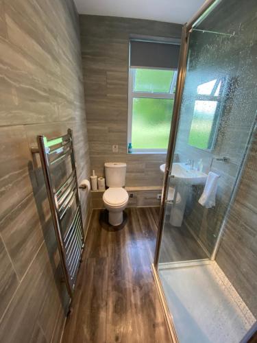 a bathroom with a toilet and a shower and a sink at Houghton Park Holiday Cottage in Newcastleton