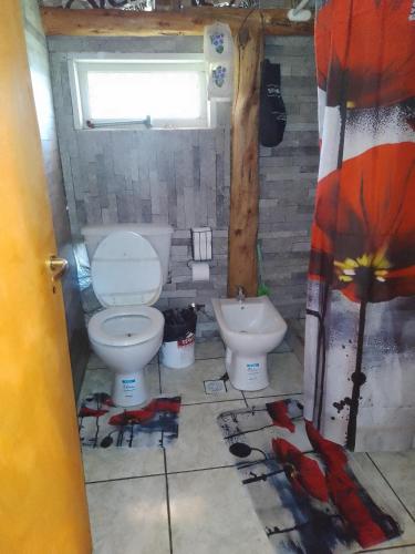 La salle de bains est pourvue de toilettes et d'un lavabo. dans l'établissement Rinconcito de CHABELA, à Junín de los Andes
