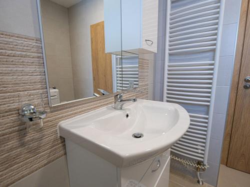a bathroom with a white sink and a mirror at Chaloupka Na Pivovaře Seč in Seč