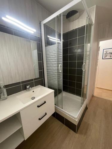 uma casa de banho com uma cabina de duche em vidro e um lavatório branco em Grand 2 chambres & parking em Besançon