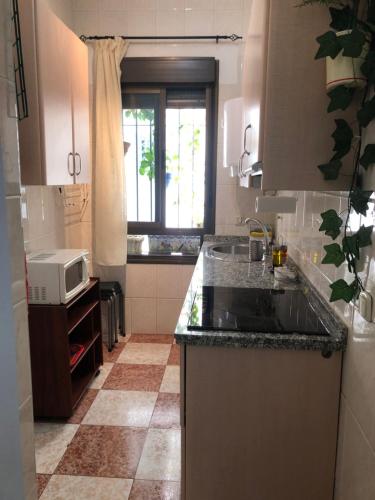 a kitchen with a sink and a microwave at Vallaindiano in Córdoba
