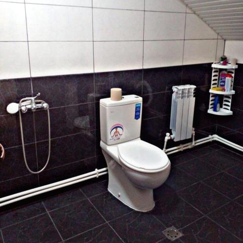 a bathroom with a toilet and a shower at Taqnvac hrashq in Dilijan