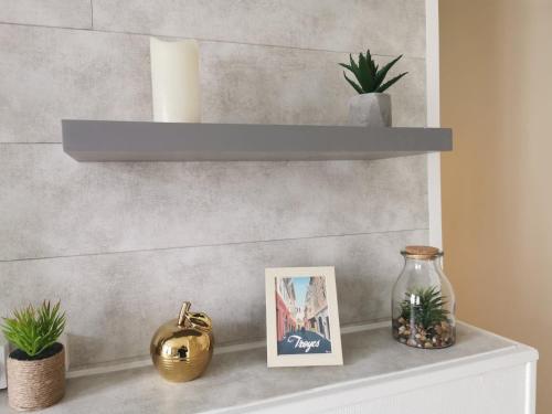 a shelf in a room with a picture and plants at Le Papillon de la Cathédrale - Calme - Jardin - Wifi in Troyes
