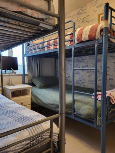 Cette chambre dispose de lits superposés, de 2 lits superposés et d'un bureau. dans l'établissement educatefirst, à Christchurch