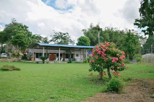 a house with a bush with pink flowers in the yard at ไร่นภาดลรีสอร์ท in Mae Suai