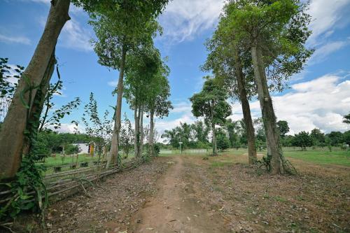 a dirt road in a field with trees at ไร่นภาดลรีสอร์ท in Mae Suai