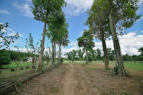 a dirt road in a field with trees at ไร่นภาดลรีสอร์ท in Mae Suai