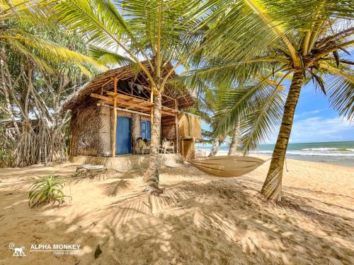 a house on the beach with a hammock under two palm trees at The Alpha Monkey hotel & Tree house in Tangalle