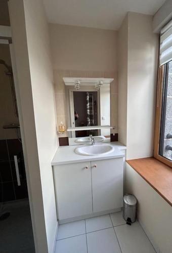 une salle de bain blanche avec un lavabo et un miroir dans l'établissement L'Armateur, Pordic centre, à Pordic