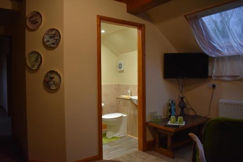 ein Bad mit einem WC, einem TV und einem Spiegel in der Unterkunft The Barn at the Mill in Selattyn