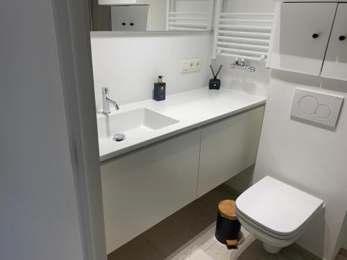 La salle de bains blanche est pourvue d'un lavabo et de toilettes. dans l'établissement Coco's, à Anvers