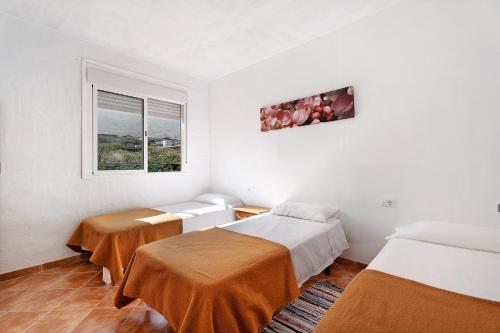 フロンテーラにあるLa Cuadra de Juanのベッド2台と窓が備わる小さな客室です。