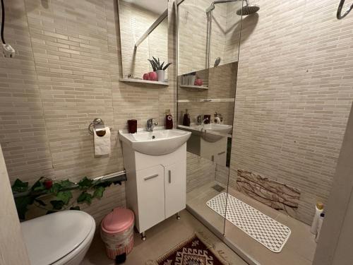 La salle de bains est pourvue de toilettes, d'un lavabo et d'une douche. dans l'établissement Casa bunicilor, à Nădăştia de Sus