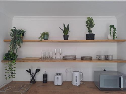 uma cozinha com prateleiras de madeira com plantas e um micro-ondas em 2 On Greeff em Graaff-Reinet