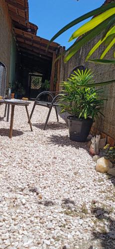 a patio with a table and a potted plant at Casa Recanto da Paz in Sao Jorge