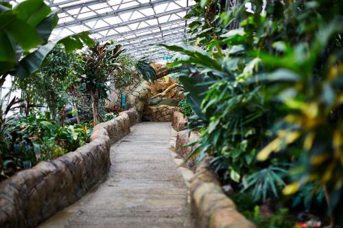 a walkway in a greenhouse with many plants at Classic Studio near Headingley Stadium in Headingley