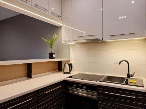 Köök või kööginurk majutusasutuses Nowe Miasto 40