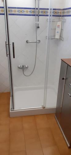 a shower with a glass door in a bathroom at Chalet Rafael Constantina in Constantina