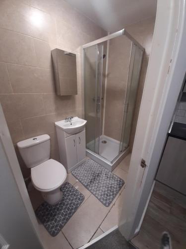 a small bathroom with a toilet and a shower at Exclusive Self-contained flat in Middlesbrough in Middlesbrough