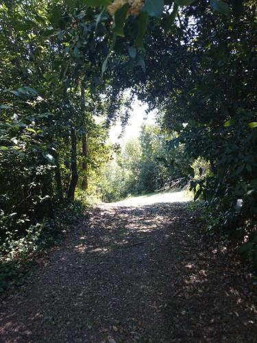 a dirt road with trees on the side at Il Casino di Remartello in Loreto Aprutino