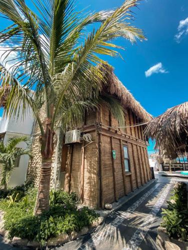 a house with a palm tree in front of it at Hotel Puerto Antiguo in Los Órganos