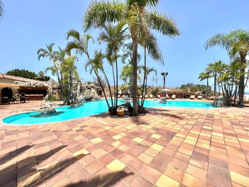 - une piscine avec des palmiers dans un complexe dans l'établissement Estandar un dormitorio con estupenda vista y piscina, Playa Los Roques, à Los Realejos