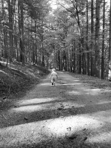 a child running down a road in the woods at Landhaus Schusterfranz in Oberneudorf