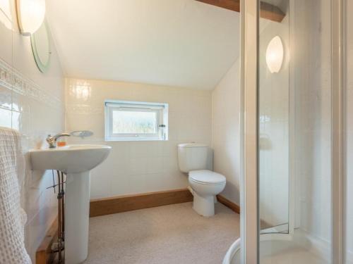 ein Bad mit einem WC, einem Waschbecken und einer Dusche in der Unterkunft 1 bed property in Appleby Cumbria SZ034 in Appleby