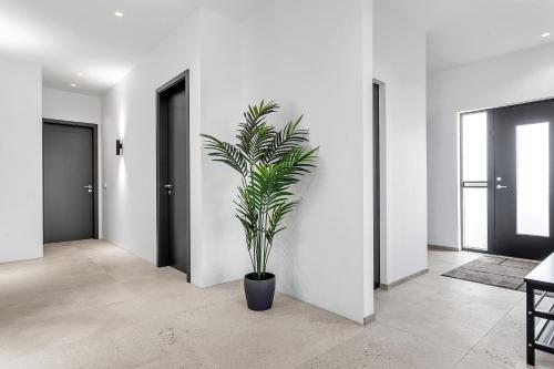 a plant in a black pot in a hallway at Luxury Villa in the South - Perfect Location in Ölfus