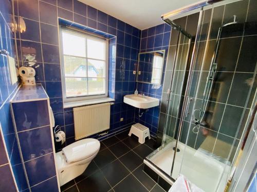 a bathroom with a toilet and a shower and a sink at Ferienhaus Waterkant in Warnemünde