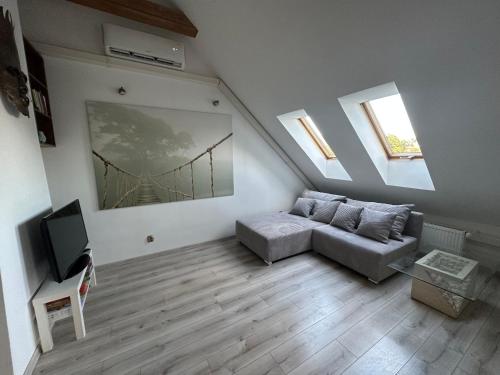 TV a/nebo společenská místnost v ubytování Apartament Aesthetic