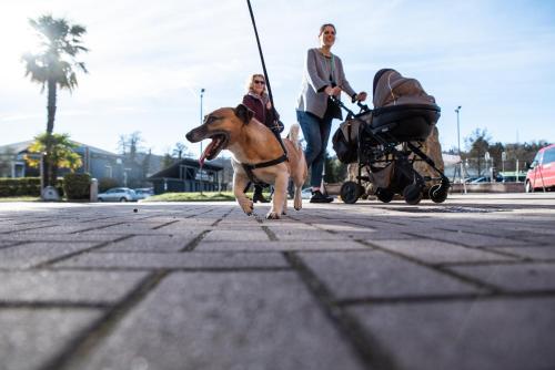 a woman walking a dog and a woman with a stroller at Hotel Residence Montelago in Ternate